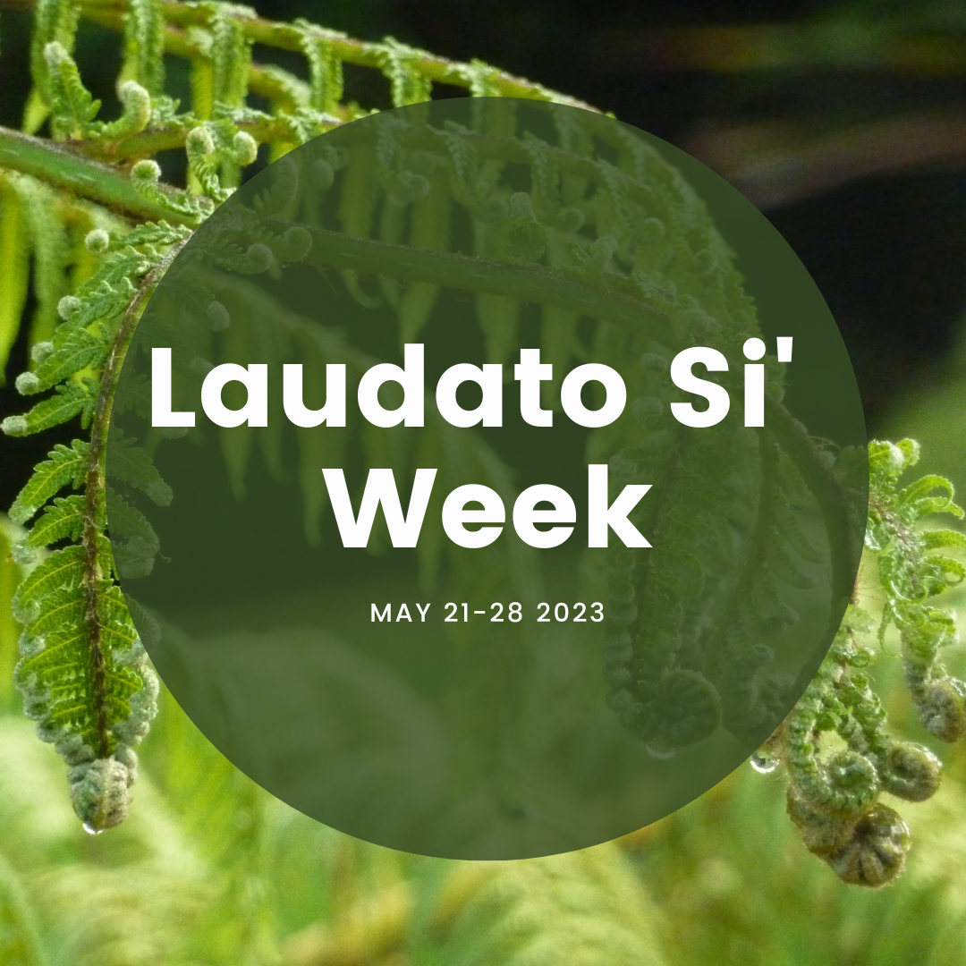 Laudato Si’ Week Archdiocese of Wellington